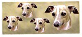 Dog Wrap Italian Greyhound