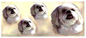 Dog Wrap - Lhasa Apso