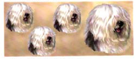 Dog Wrap - Old English Sheepdog