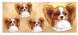 Dog Wrap - Papillon