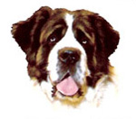 Dogs - St. Bernard