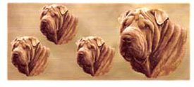 Dog Wrap - Shar Pei