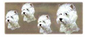 Dog Wrap - West Highland White Terrier