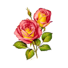 Flowers of the Months - June-Roses