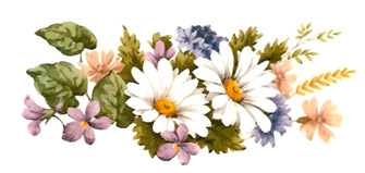 Daisy Daisies Bouquet Borders