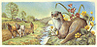 Country Animals Weasel Wrap