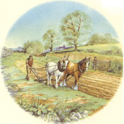 Man Plowing with Horses - Spring Scene
