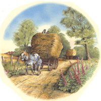 Horse Drawn Hay Wagon - Summer Country Scenes