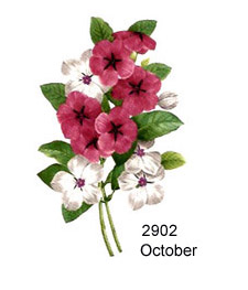 Flowers of the Months - October
