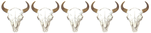 Native American Bull Skull Border