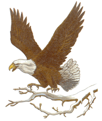 Eagle