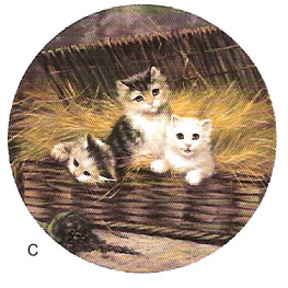 Cats - Precious Kittens