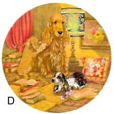 Dog's Life