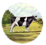 Farm Animals Cows - Scene - Black and White