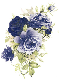Roses - BLUE
