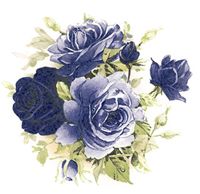 Roses - BLUE