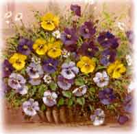 Pansies Basket