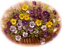 Pansies Basket