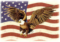 Eagle and Flag