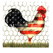 Rooster Pen - Patriotic