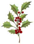 HOLLY WITH BERRIES