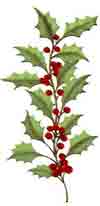 HOLLY WITH BERRIES