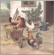 Roosters and Chickens - Hens