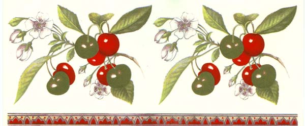 Fruit - Cherry Cherries Wrap