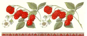 Fruit - Raspberry- Raspberries Wrap
