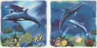 Seaworld Dolphins - Set of 2