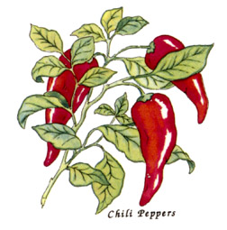 Vegetables - Chili Peppers