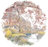 Pond Springtime Scene
