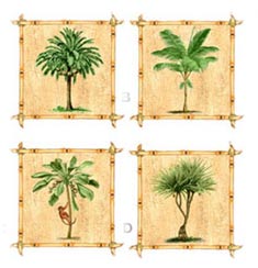 Palm Trees With Square Bamboo Border