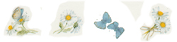 Daisy Daisies Bouquet Butterflies - Bits