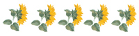 Sunflowers Bits Border