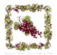 Grapes - Purple With Square Border