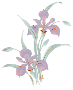 Mauve Iris Flower with Gold-GLASS LOW FIRE