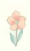 Nouvelle Flower