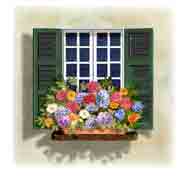 Colorful Windows with Flower Box