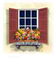 Colorful Windows with Flower Box