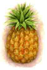 Pineapple