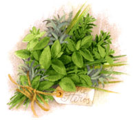 Herbs Bouquet