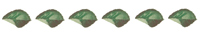 Rose Leaves