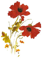 Poppy Bouquet
