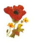 Poppy Bouquet