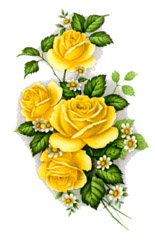 Roses - Yellow