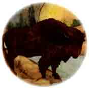 Rustic - Lodge Buffalo