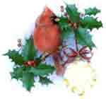 Birds - Christmas Cardinal