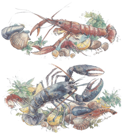 Seafood - Lobster, Shrimp, Mussels, Lemons