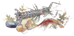 Seafood - Crawfish, Shrimp, Mussels